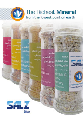 SALZ Brochure